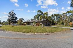 1242 Holiday Drive, Tarpon Springs FL 34689