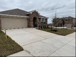 20236 Hickenlooper Way, Manor TX 78653