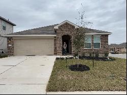 20236 Hickenlooper Way, Manor TX 78653