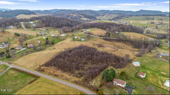 Tbd Peaceful Valley Road, Abingdon VA 24210