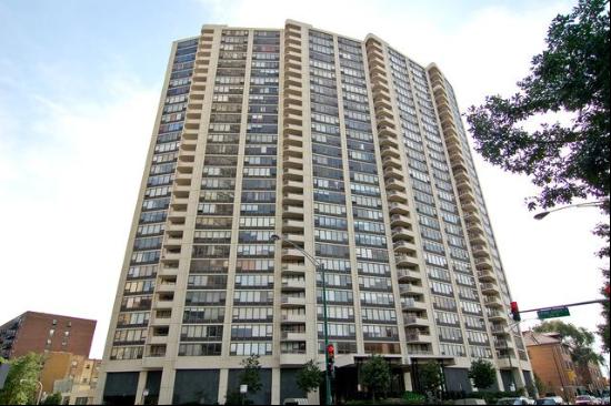 3930 N Pine Grove Avenue #2709, Chicago IL 60613