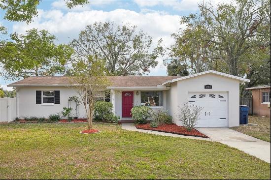 4504 W Price Avenue, Tampa FL 33611