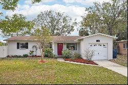 4504 W Price Avenue, Tampa FL 33611