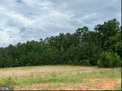 Lot 1 Bear Creek Road, Moreland GA 30259