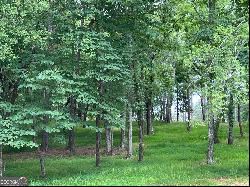 Lot 1 Bear Creek Road, Moreland GA 30259