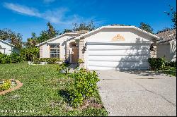 1112 Pine Creek Circle NE, Palm Bay FL 32905