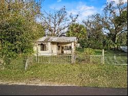 1012 Plateau Avenue, Lakeland FL 33815