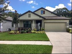 812 Vino Verde Circle, Brandon FL 33511