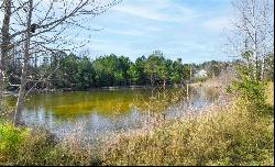 Lot 1 Moorefields Road, Hillsborough NC 27278