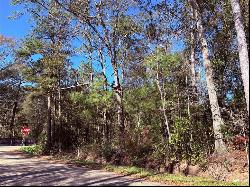 Lot 2A Leonard Street, Abita Springs LA 70420