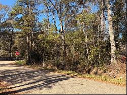 Lot 2A Leonard Street, Abita Springs LA 70420