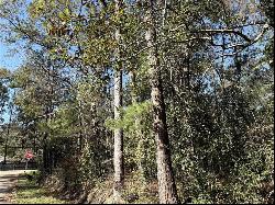 Lot 2A Leonard Street, Abita Springs LA 70420