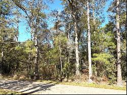 Lot 2A Leonard Street, Abita Springs LA 70420