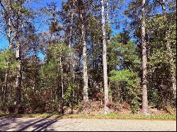 Lot 2A Leonard Street, Abita Springs LA 70420