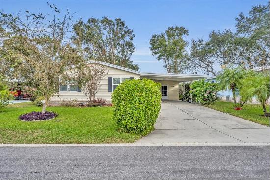 3410 Manatee Road, Tavares FL 32778