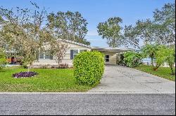 3410 Manatee Road, Tavares FL 32778