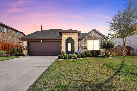 3816 Wheatland Trail, Heartland TX 75126