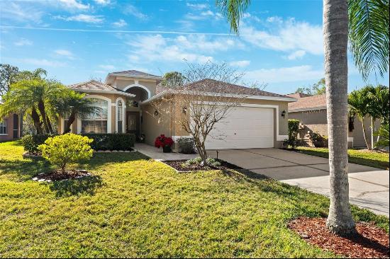 4886 Westchester Court, Oldsmar FL 34677