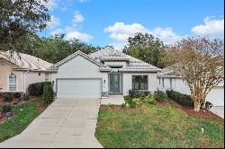 263 W Doerr Path, Hernando FL 34442