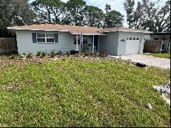 3839 Alabama Avenue Ne, SAINT PETERSBURG, FL, 33703