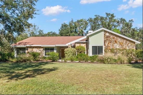 902 Flatwood Court, BRANDON, FL, 33511