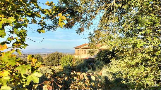 Country House with cellar and vineyard, Montepulciano - Tuscany