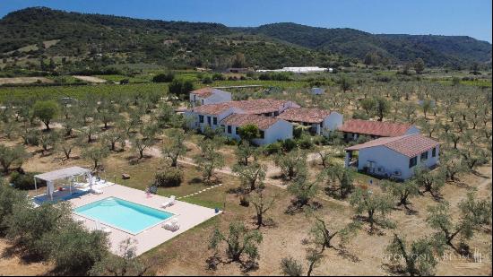 Estate with olive grove and country house in class A1, Galtellì, Nuoro