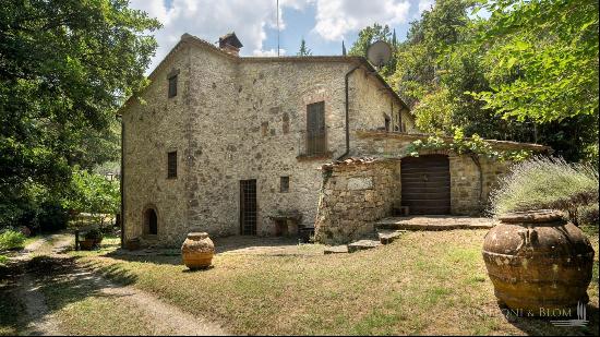 The Spring House with garden, Radda in Chianti, Siena – Tuscany 