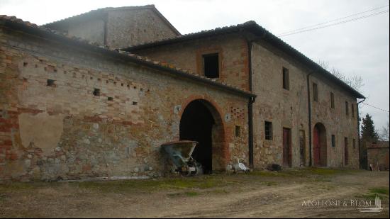 The winery, Gambassi Terme, Florence - Tuscany 