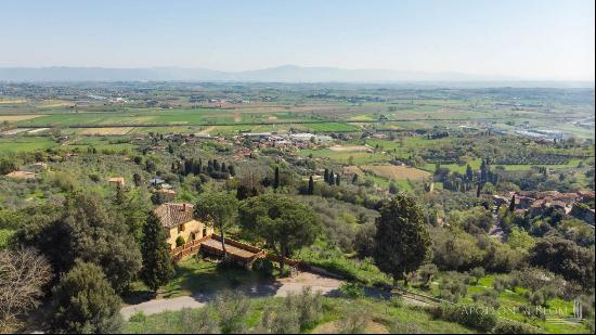 The Red Pine Tree house with land, Sinalunga, Siena - Toscana