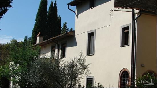 The White Country Villa with cottage and vineyard, Bucine - Tuscany