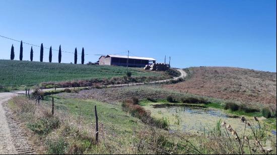 308-acre Farmstead in Asciano and Montalcino, Siena - Toscana