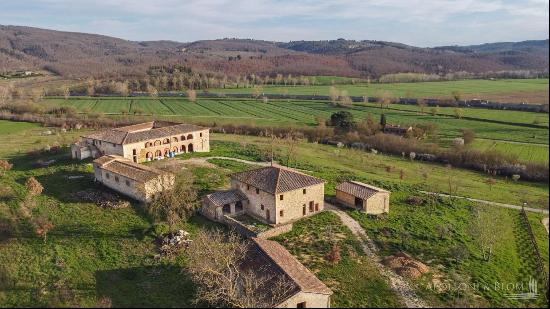 Fattoria Le Pievi, Rapolano Terme, Siena - Tuscany