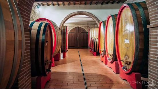 The Nobil Donna vineyards and resort, Montepulciano - Tuscany