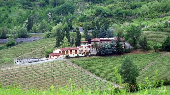 Biodynamic winery, Alessandria - Piedmont