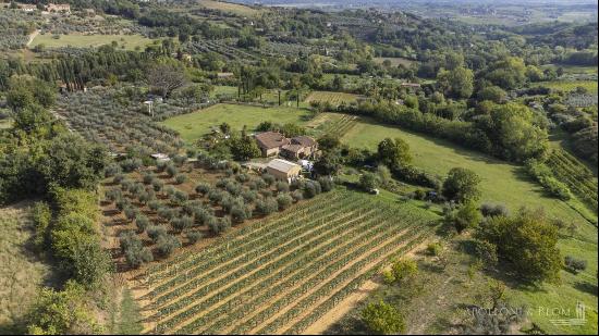 Bellavista Estate, in beautiful valley in Montepulciano - Tuscany