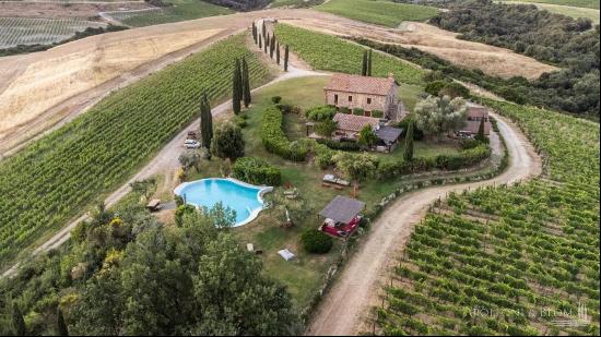 Country house over the Hill, Montalcino, Siena - Tuscany