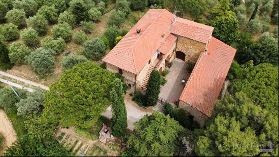 L'Antica Mangiatoia with court and olive grove, Trequanda - Tuscany