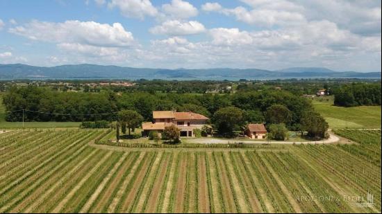 Country estate and DOC vineyards, Castiglione del lago-Umbria