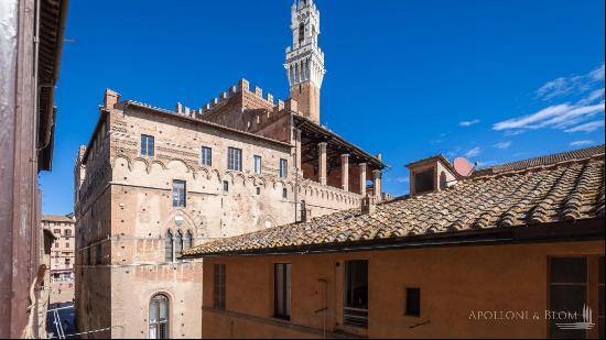 Apartment a few meters from Piazza del Campo, Siena - Tuscany