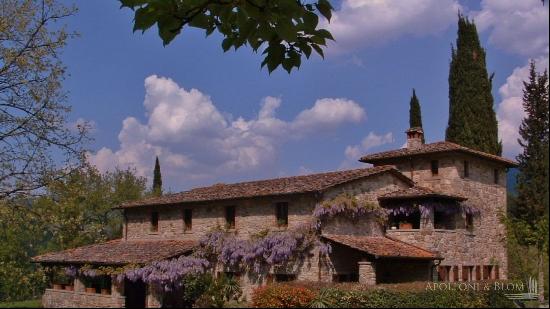 La Verna Villa with pool and guest cottages, Arezzo - Tuscany