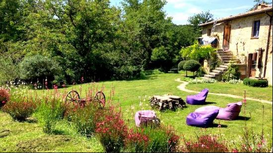 Country house Il Noce, Trequanda, Siena - Tuscany