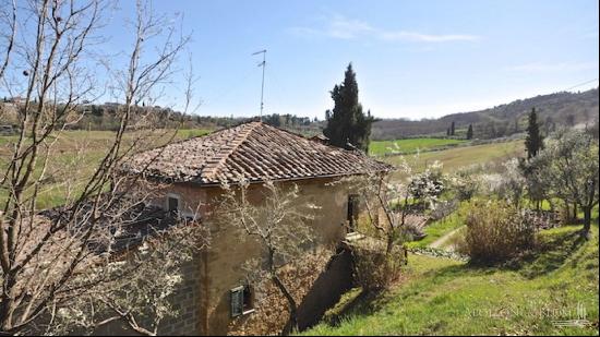  Farmhouse The Myrtle, Montepulciano 