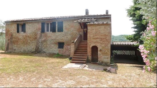 La Tartufaia Farm with truffle reserve, Asciano - Tuscany