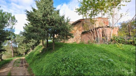 La Malva Farm, Val di Chiana, Siena - Toscana