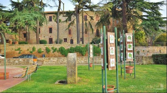 Residenza La Visione, Paciano - Umbria