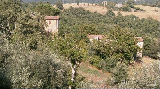 Country Houses with farm, Lisciano Niccone, Perugia - Umbria