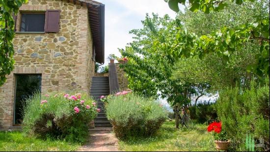 Country house Poggio Etrusco, Castiglione del Lago - Umbria