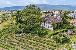 Sumptuous historic property on a wine-growing estate