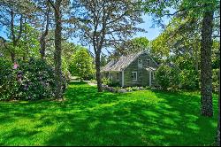 Amagansett Dunes Summer